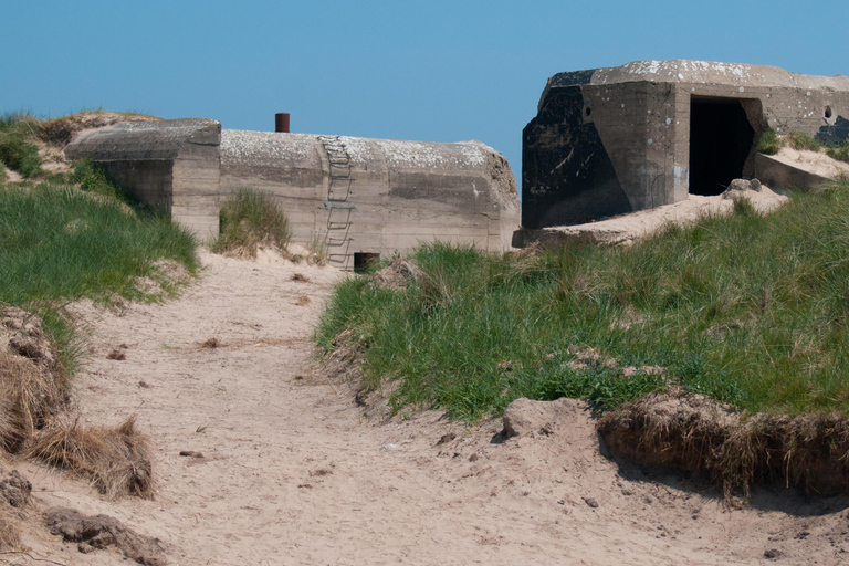 From Bayeux: D-Day American Beaches and US Airborne Day Tour