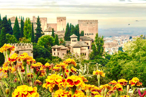 From Motril: Full-Day Private Tour of Alhambra