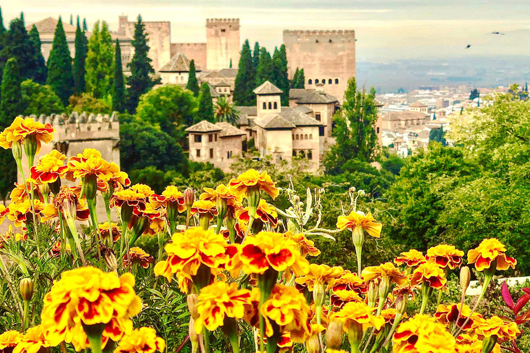 From Motril: Full-Day Private Tour of Alhambra