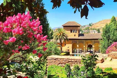 From Motril: Full-Day Private Tour of Alhambra