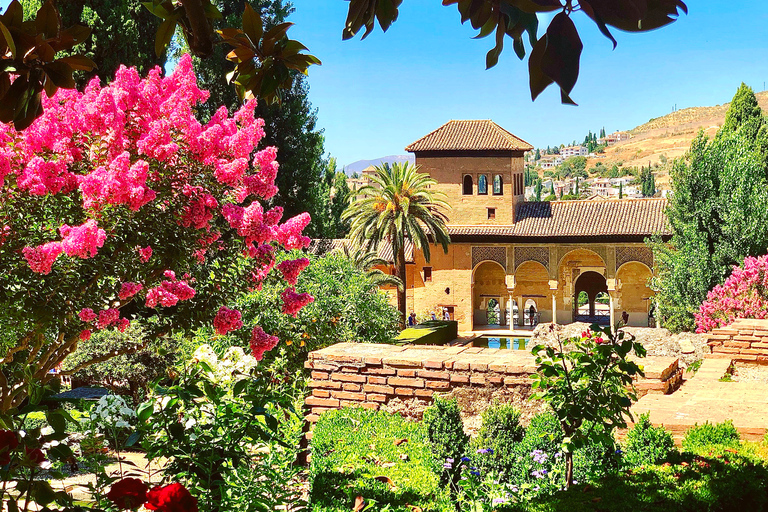 From Motril: Full-Day Private Tour of Alhambra