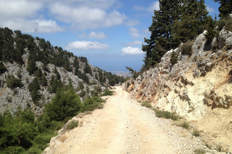 Van Chania: White Mountains Land Rover Safari