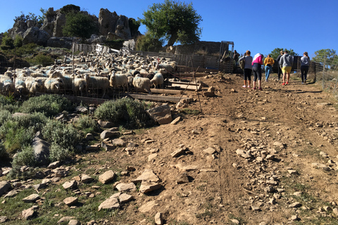 De Chania: Land Rover Safari des Montagnes Blanches