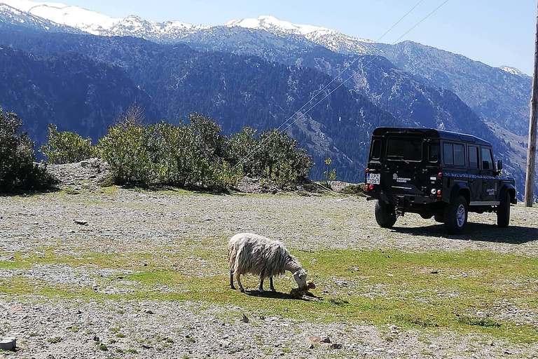 De Chania: Land Rover Safari des Montagnes Blanches