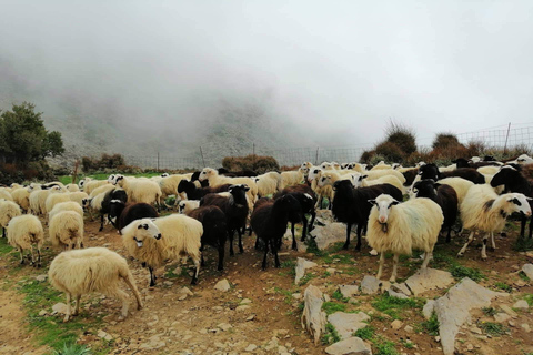 De Chania: Land Rover Safari des Montagnes Blanches