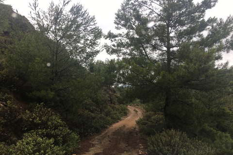 Rodas: tour de safari por el sur en 4x4 de día completo