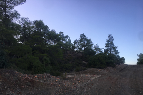 Rodes: Excursão de dia inteiro em 4x4 no safári do sul