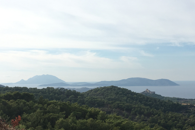 Rhodos: 4x4 dagsafari door het zuiden