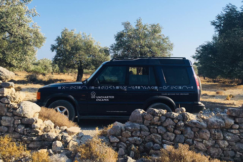 Rodas: tour de safari por el sur en 4x4 de día completo