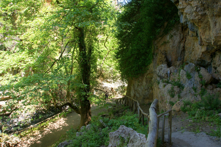 Desde Rethymno: excursión guiada de un día a la costa sur