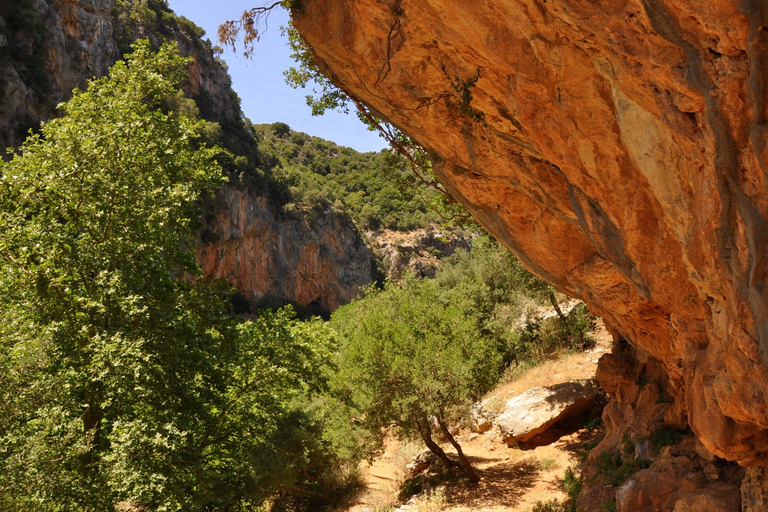 Desde Rethymno: excursión guiada de un día a la costa sur