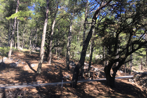 Rodes: passeio de dia inteiro em 4x4 no Safari do Norte