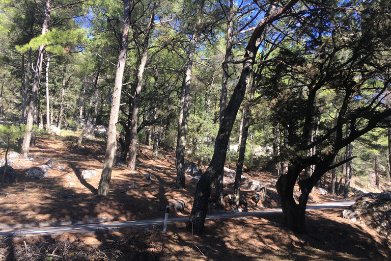 Rhodos: Geländewagen-Safari im Norden der Insel