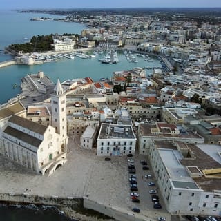 From Matera: Day Trip to Trani and Castel del Monte