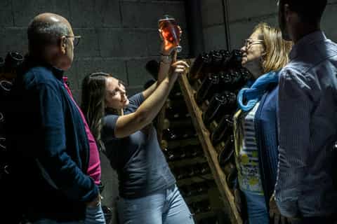 Celorico De Basto: Quinta de Santa Cristina Winery Tour