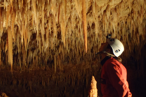 La Ciotat: Caving in Calanques National Park Half-Day Tour