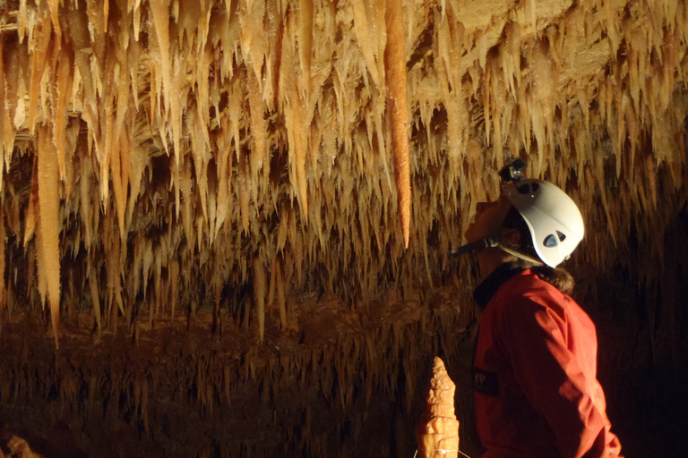 La Ciotat: Caving in Calanques National Park Half-Day Tour