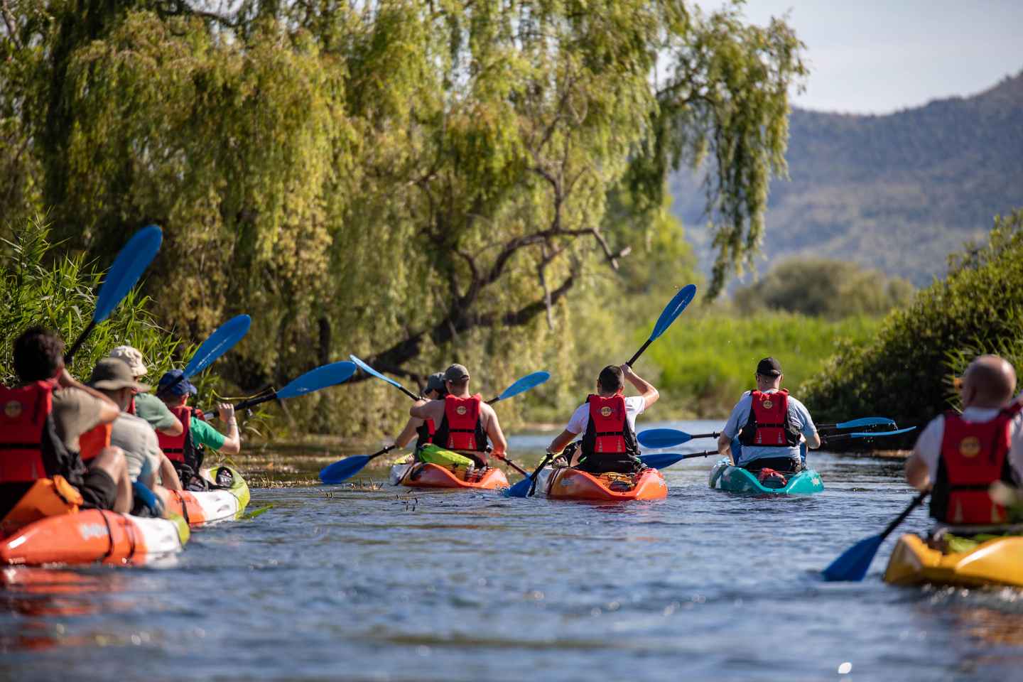 Guided Safari Kayaking Tour in Neretva Valley