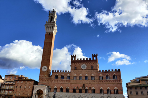 De Florence: visite privée d'une journée des joyaux de la Toscane