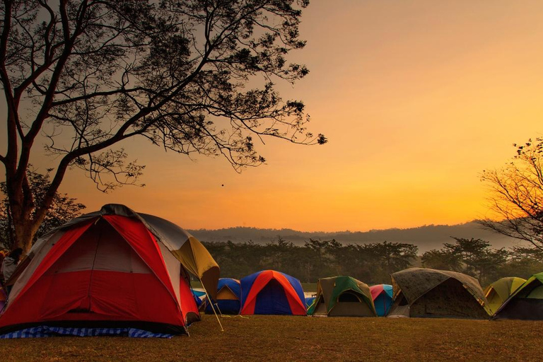 Jaipur: 8-daagse erfgoedtour door Rajasthan met vervoerJaipur: 8-daagse Rajasthan Heritage Tour met transfers