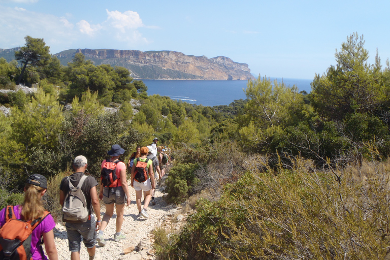 Calanques de Cassis: wandeldagtochtRondleiding met gids Dagtrip Wandelen in het Nationaal Park