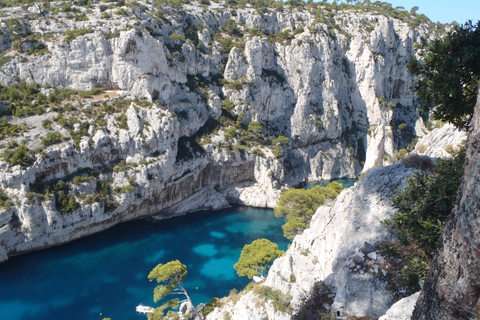 Calanques de Cassis: wandeldagtochtRondleiding met gids Dagtrip Wandelen in het Nationaal Park