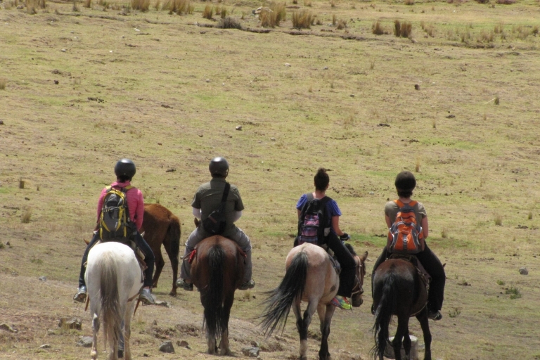 Cusco: visite privée d'une demi-journée à cheval autour de CuscoVisite privée d'une demi-journée à cheval autour de Cusco