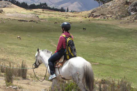 Cusco: visite privée d'une demi-journée à cheval autour de CuscoVisite privée d'une demi-journée à cheval autour de Cusco