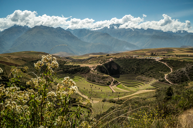 Från Cusco: Privat halvdagstur till Maras och MorayPrivat halvdagstur till Maras och Moray