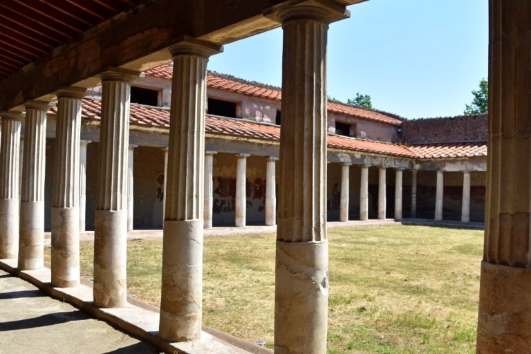 Herculaneum: Geführter Halbtagesausflug ab Neapel