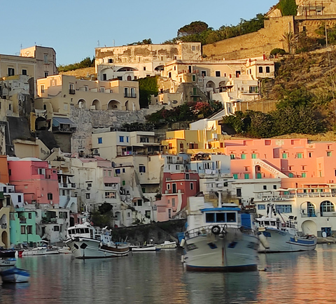 Cruises & boat tours