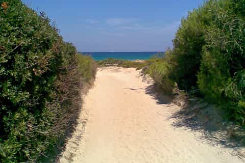 From Lecce: Salento Beaches Day Trip