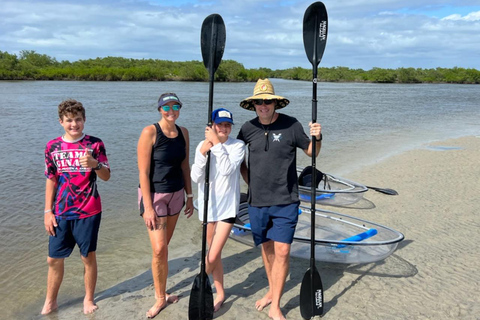 New Smyrna Beach: Guided Clear Kayak Tour with Wildlife
