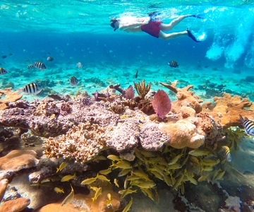 Pearl Island Beach: Full-day Snorkelling with Lunch