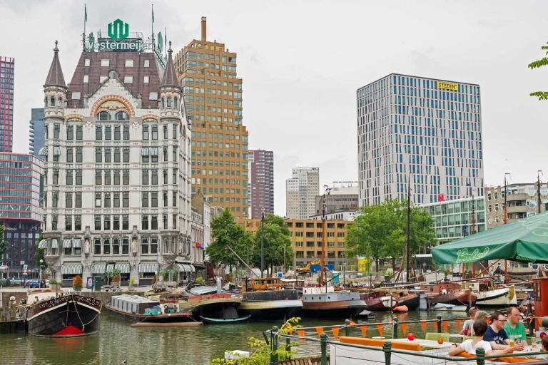 Rotterdam: tour langs architectuurhighlights, incl. DepotRotterdam: privétour langs architectuurhighlights