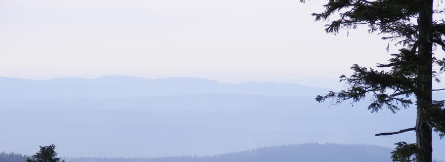 Excursion d'une journée dans les montagnes du Harz