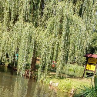 From Dresden: Day Trip to The Spreewald