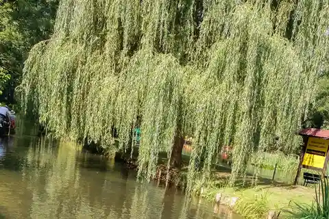 Desde Dresde: excursión de un día a Spreewald