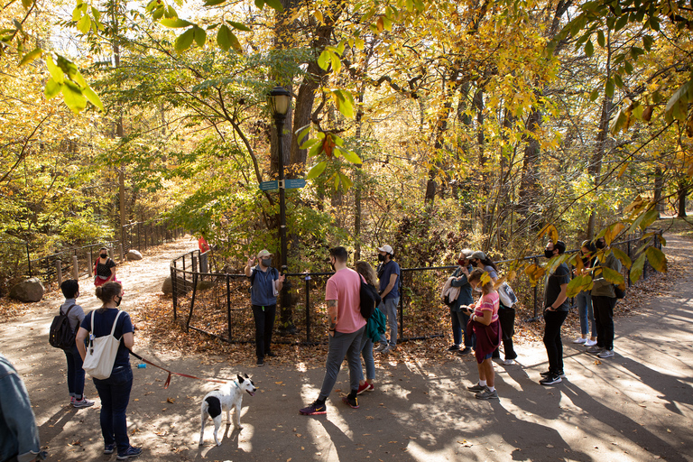 Brooklyn: tour guidato a piedi di 2 ore al Prospect Park