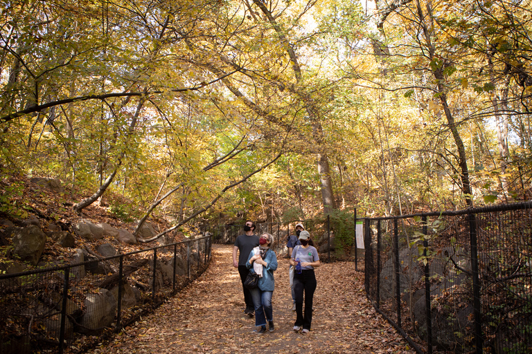 Brooklyn: tour guidato a piedi di 2 ore al Prospect Park