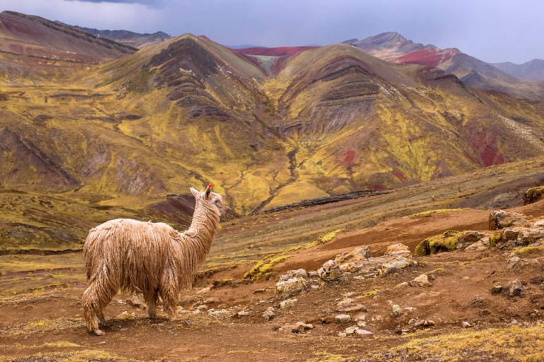 Van Cusco: Palcoyo Mountain Range Full Day Hike