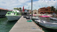 San pedro, Guided Family walking tour - Housity
