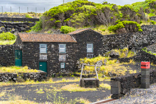 Experiences gastronomiques à Madalena (Açores)