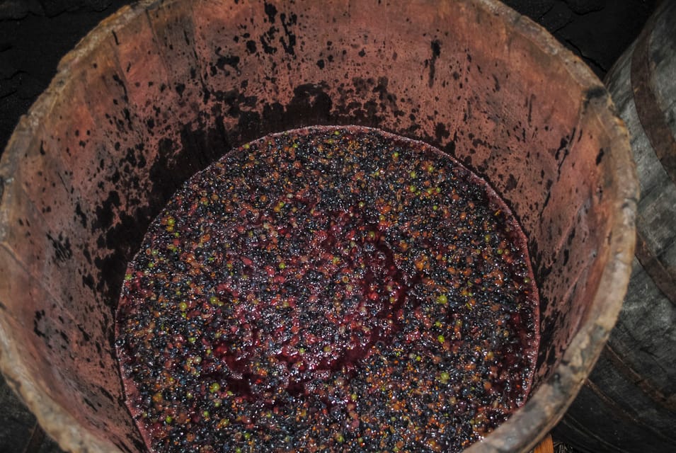 Isla Pico, Tour de día completo por la cultura del vino - Hizvo