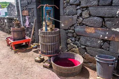 Pico Island: Full Day Wine Culture Tour