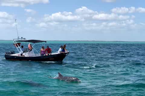 From Cancún & Playa del Carmen: Holbox Island Discovery Tour
