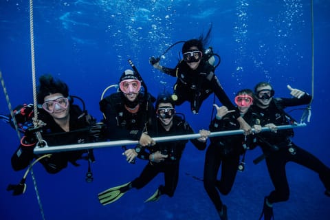 Moorea : Plongées d’exploration pour observer les tortues et les requins