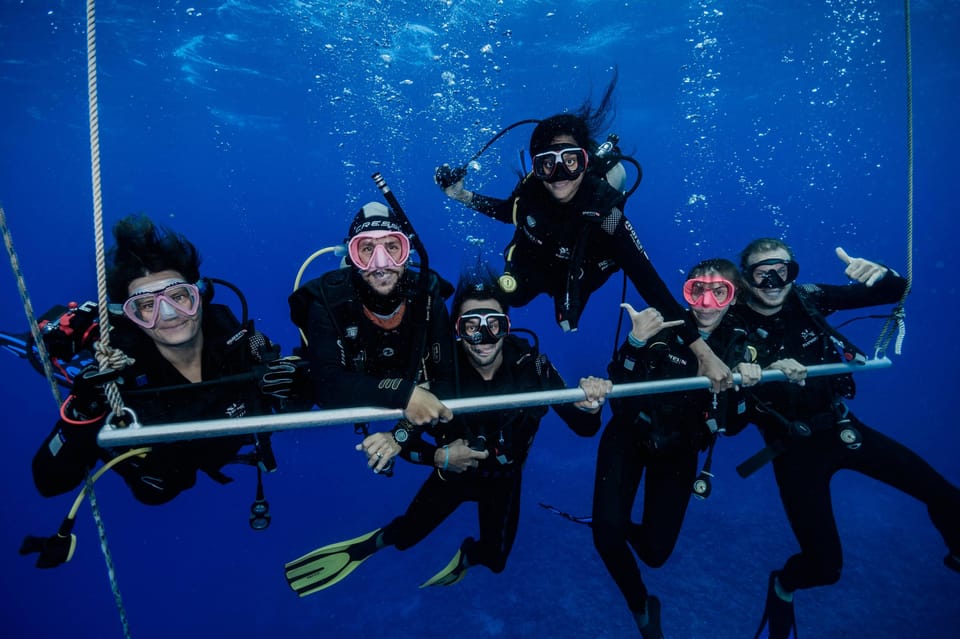Moorea : Plongées d’exploration pour observer les tortues et les requins