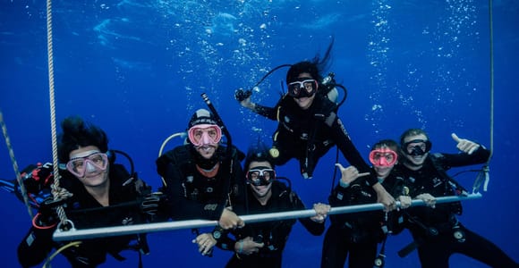 Moorea: Exploration dives to observe turtles and sharks