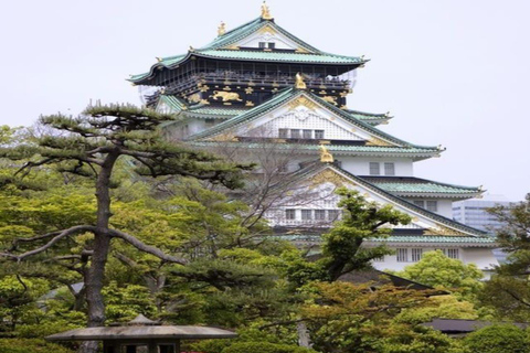 大阪和奈良私人定制导览游大阪和奈良专属私人定制导览游